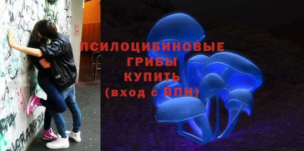 герыч Михайловск