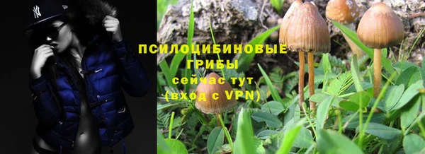 2c-b Бабаево