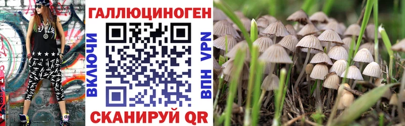 Галлюциногенные грибы прущие грибы  Шумиха 
